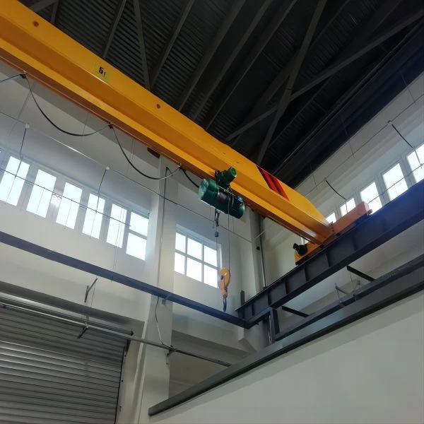 1 Ton Overhead Hoist