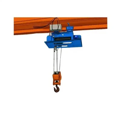Custom Bridge Crane