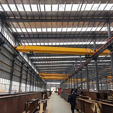 Small Bridge Crane