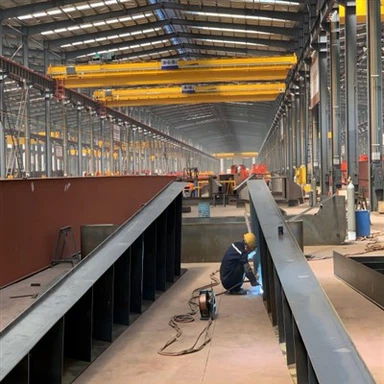 Types Of Bridge Cranes